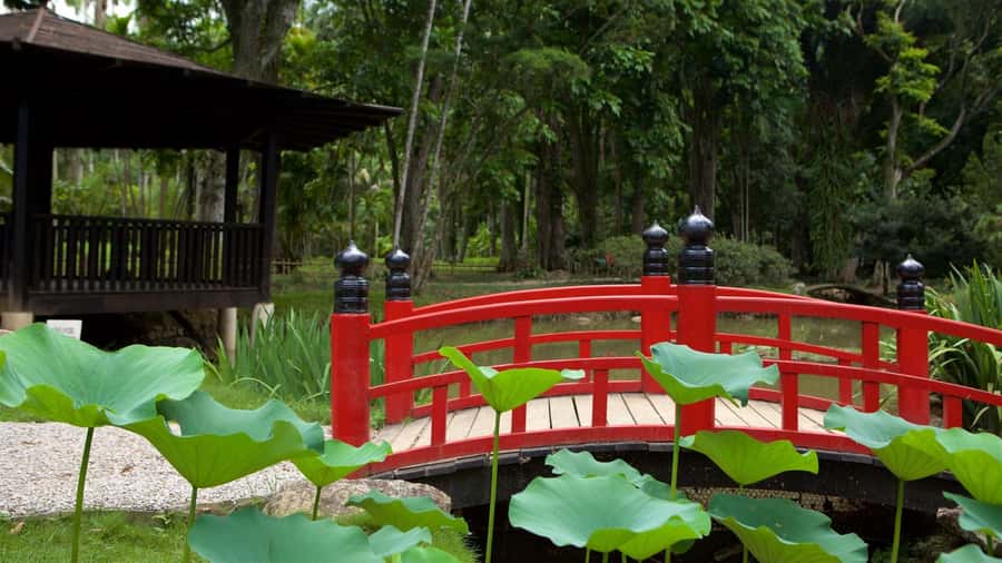 Rio de Janeiro: Tijuca National Park & Botanic Garden Tour - The Botanical Garden is a different kind of green space