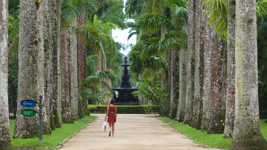 Rio de Janeiro: Tijuca National Park & Botanic Garden Tour - Timing, weather, and possible changes