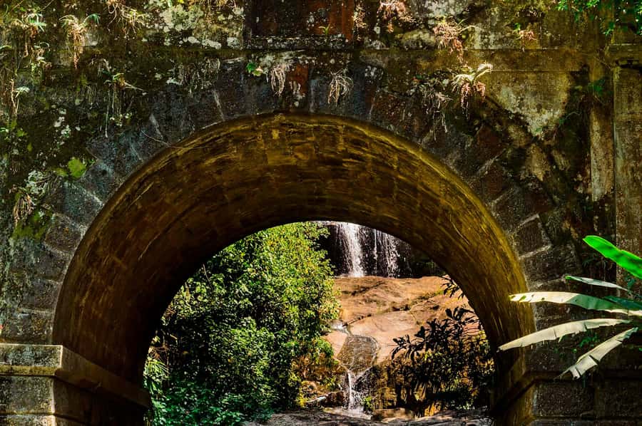 Rio de Janeiro: Tijuca National Park & Botanic Garden Tour - Accessibility and the best type of visitor