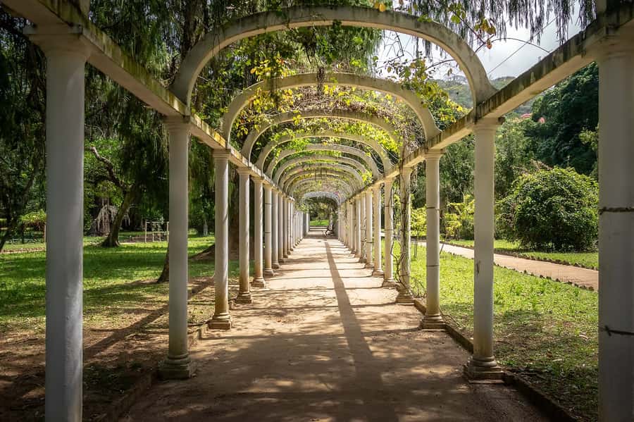 Rio de Janeiro: Tijuca National Park & Botanic Garden Tour - Vista Chinesa gives you Rio from the hills