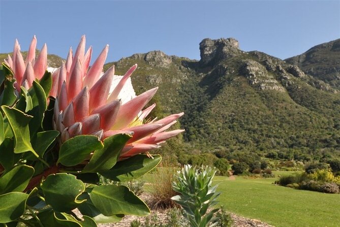 Robben Island ,Kirstenbosch Gardens and Groot Constantia. - Lunch and the V&A Waterfront