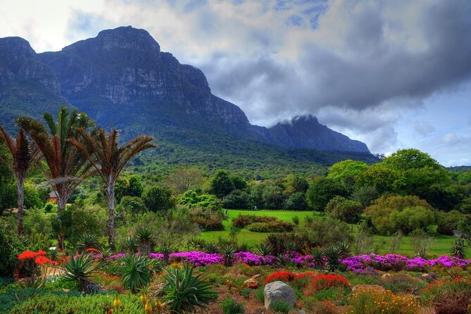 Robben Island ,Kirstenbosch Gardens and Groot Constantia. - Who will enjoy this Cape Town day?