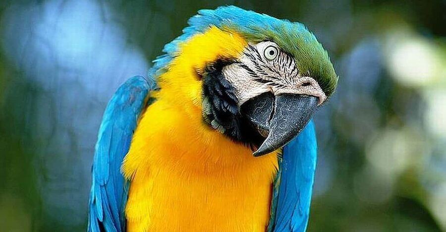 Rome: Bioparco di Roma Zoological Garden Entry Ticket - The Reptile House deserves extra time
