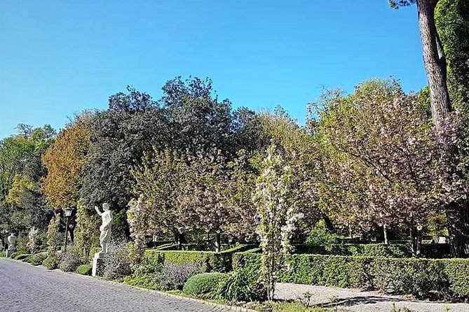 Rome: Vatican Museums and Gardens Private Tour - Pick up included - Who should book this Vatican visit
