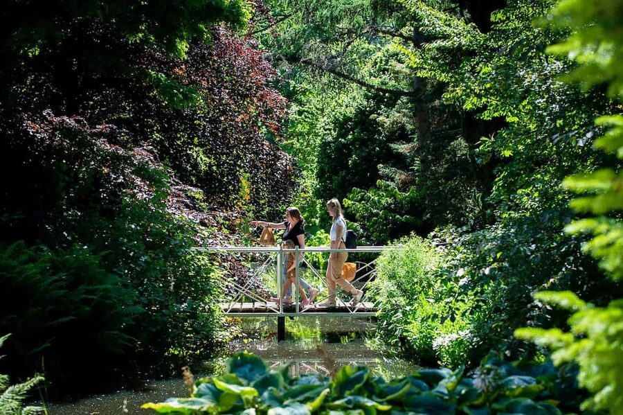 Rotterdam: Trompenburg Botanical Gardens Entry Ticket - Key points