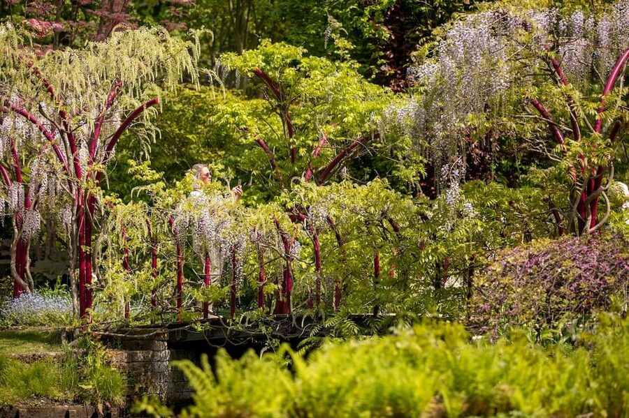 Rotterdam: Trompenburg Botanical Gardens Entry Ticket - Who will enjoy Trompenburg most