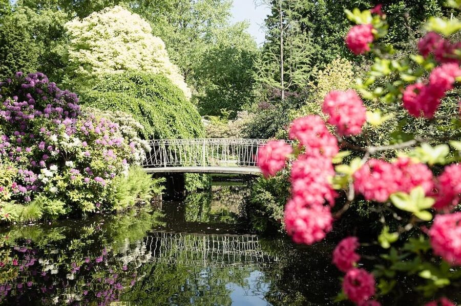 Rotterdam: Trompenburg Botanical Gardens Entry Ticket - Why Trompenburg makes a good Rotterdam break