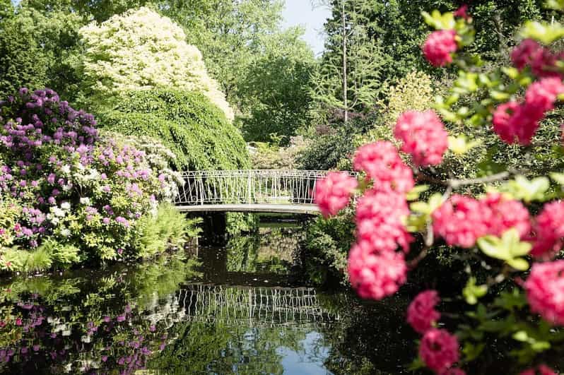 Rotterdam: Trompenburg Botanical Gardens Entry Ticket - The tree collection and seasonal planting