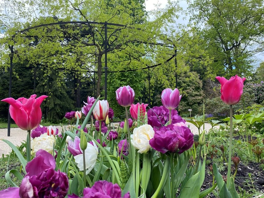 Rotterdam: Trompenburg Botanical Gardens Entry Ticket - Sunday activities and the self-guided format