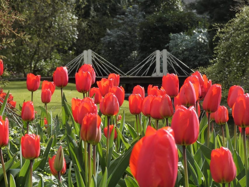 Rotterdam: Trompenburg Botanical Gardens Entry Ticket - What $15 gets you