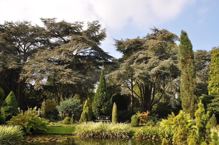 Rotterdam: Trompenburg Botanical Gardens Entry Ticket - Practical planning for your visit
