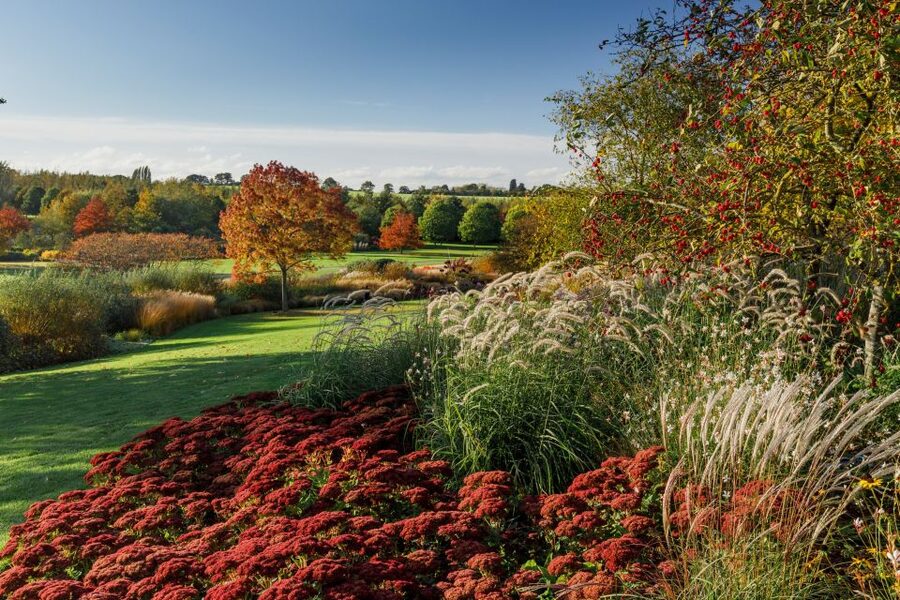 Royal Horticultural Society: Hyde Hall Garden Ticket - Rose Garden and Rope Rose Walk
