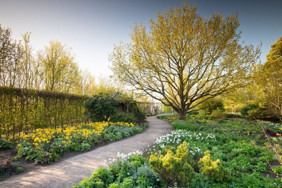 Royal Horticultural Society: Hyde Hall Garden Ticket - Winter Garden and Birch Grove