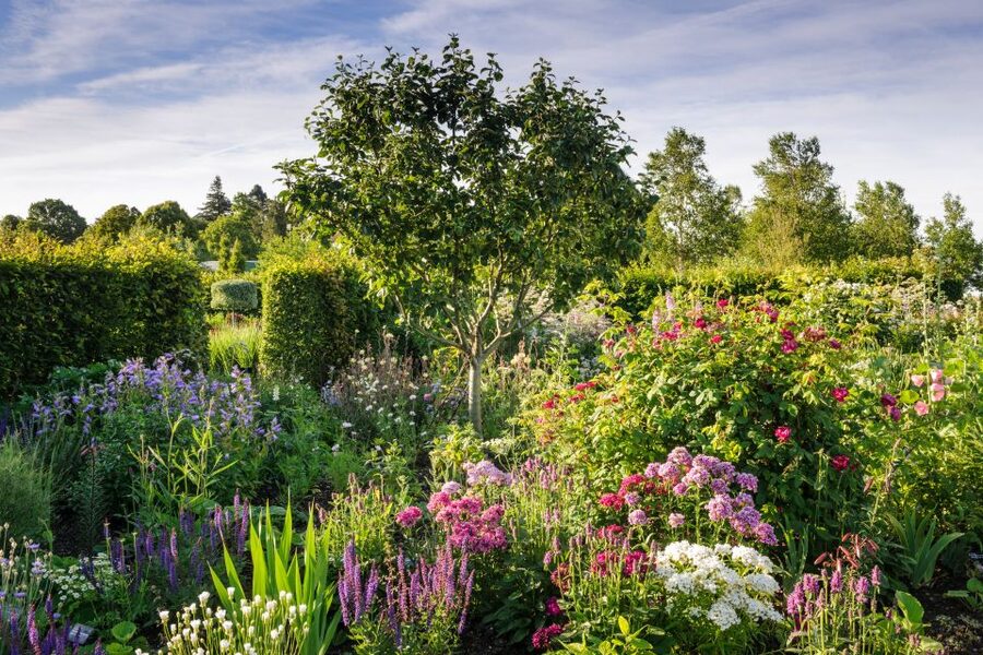 Royal Horticultural Society: Hyde Hall Garden Ticket - Ponds, birds, and the quieter side of Hyde Hall