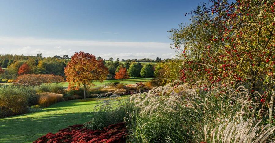 Royal Horticultural Society: Hyde Hall Garden Ticket - The Top Garden and seasonal planting