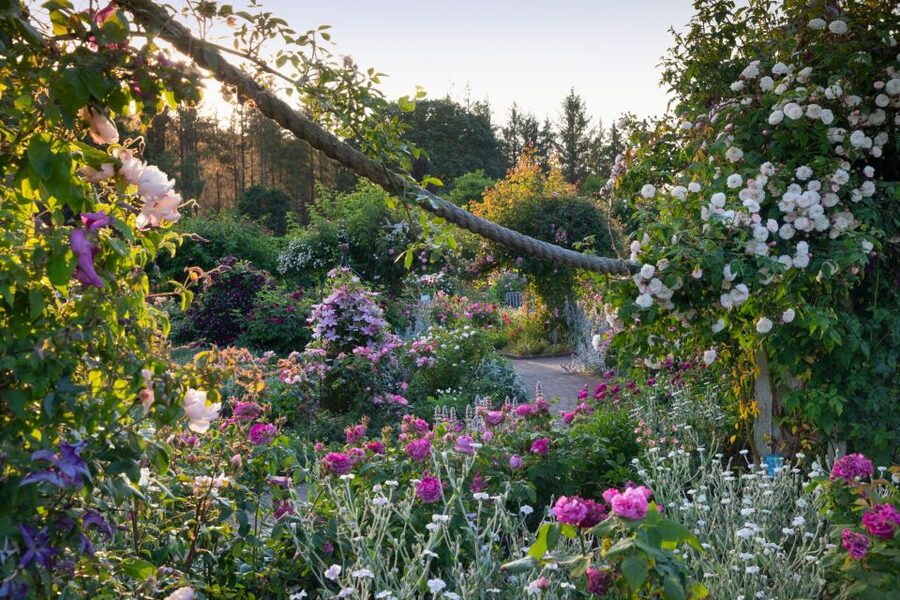 Royal Horticultural Society: Rosemoor Garden Ticket - How long should you allow?