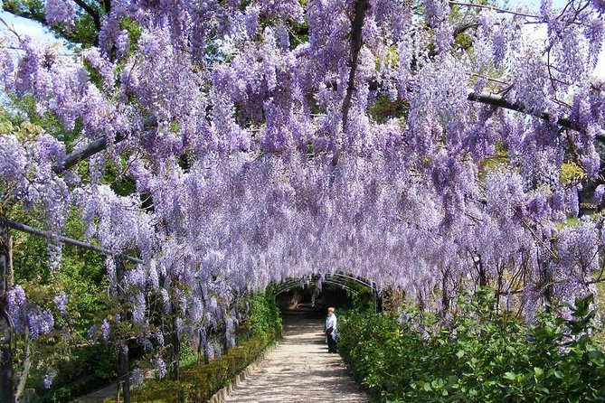 Royal Paths of Florence: Explore the Boboli Gardens - How much walking should you expect?