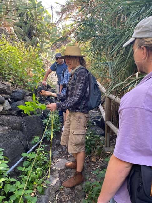 Rural Life Experience: Mojo Workshop and botanical Walk - How much value do you get for $74?