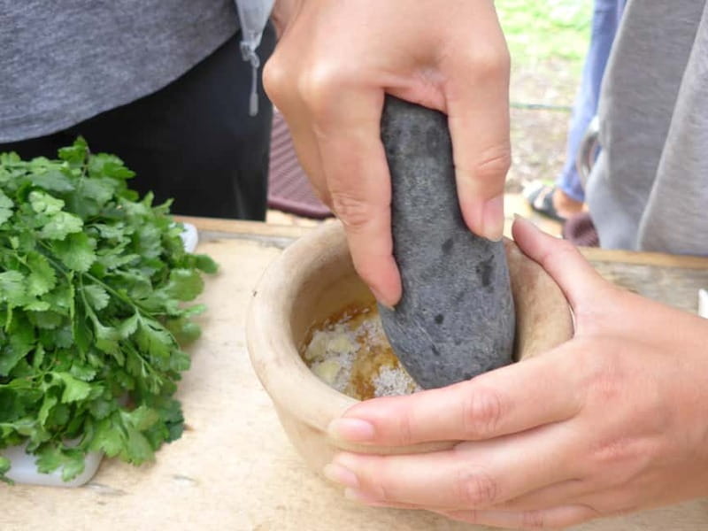 Rural Life Experience: Mojo Workshop and botanical Walk - Meeting in La Laja and getting oriented
