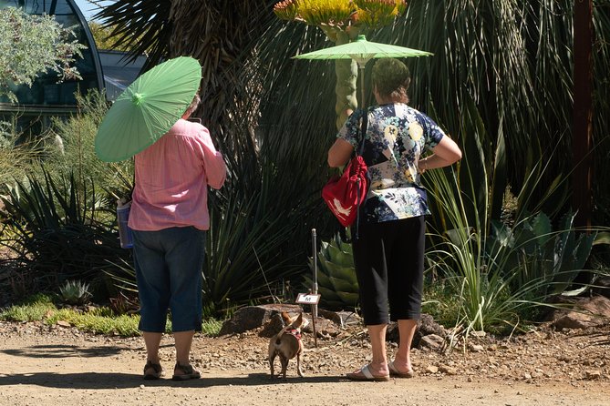 Ruth Bancroft Garden General Admission Ticket - The on-site nursery and the value of the $15 ticket