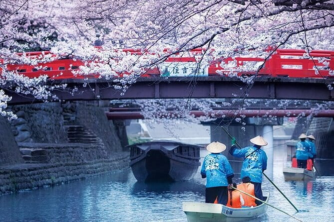Sakura Magic and Nabana No Sato Day Tour From Osaka - A long spring day beyond Osaka