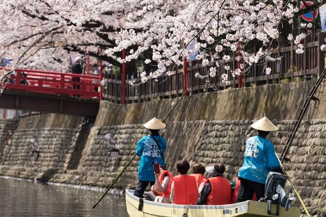 Sakura Magic and Nabana No Sato Day Tour From Osaka - Wagyu sukiyaki and a pause in Sekigahara-cho