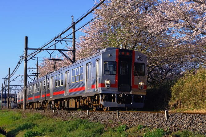Sakura Magic and Nabana No Sato Day Tour From Osaka - Ogaki by boat, with Basho’s route in the background