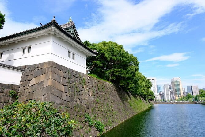 Sakura Magic and Nabana No Sato Day Tour From Osaka - Cancellation and weather details to know
