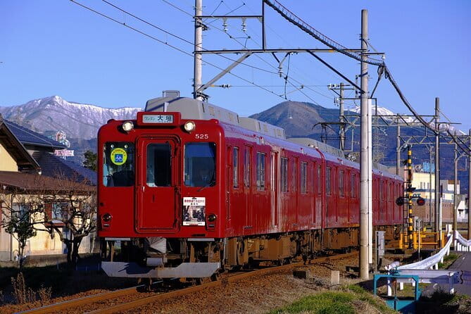 Sakura Magic and Nabana No Sato Day Tour From Osaka - The Yoro Railway’s 35-minute sakura passage
