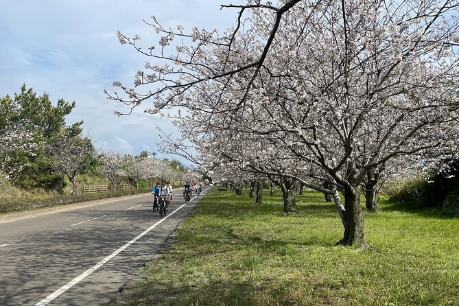 Sakurajima One Day Round Journey with E-bike - What Rento adds to the ride