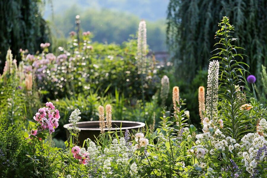 Salignac-Eyvigues: Gardens of Eyrignac Manor Entry Ticket - Who will enjoy Eyrignac most?