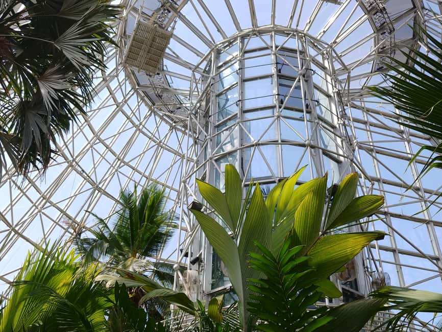 San Antonio: Botanical Garden Admission Ticket - Key points before you go