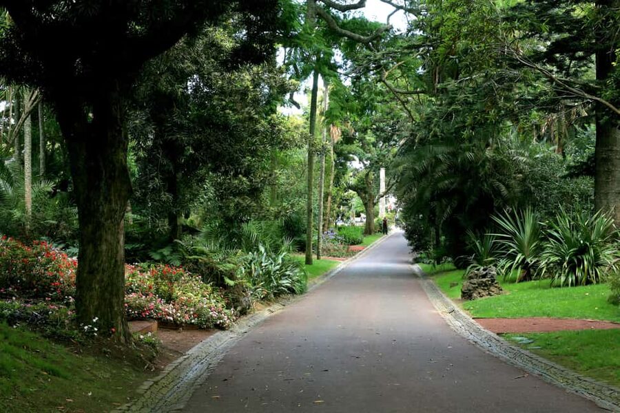 São Miguel: Botanical Gardens and Cave Tour - Why this four-hour route works