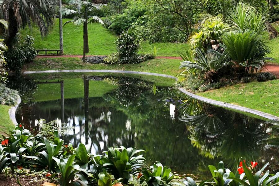 São Miguel: Botanical Gardens and Cave Tour - António Borges Garden and its old trees