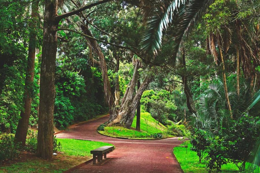 São Miguel: Botanical Gardens and Cave Tour - Who should book this São Miguel tour?