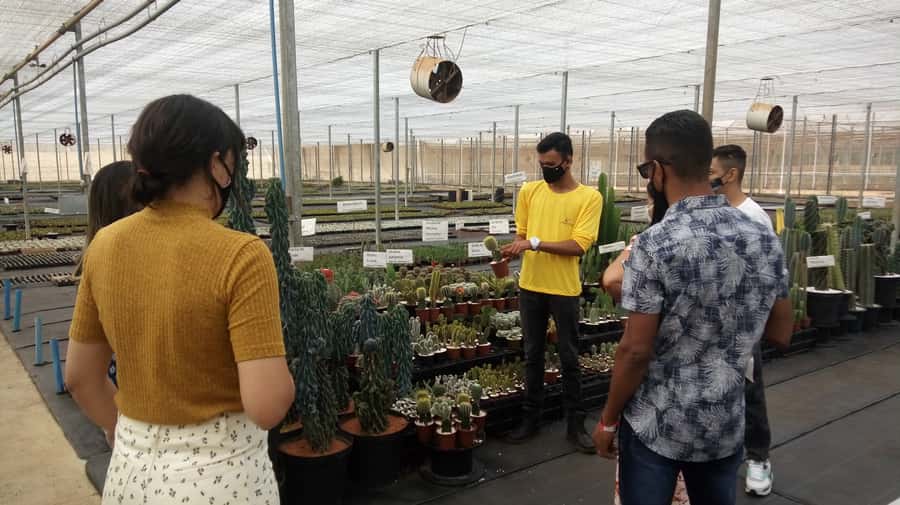 São Paulo: Holambra Colorful Flower Farm Guided Day Trip - Why Holambra makes a good day from São Paulo