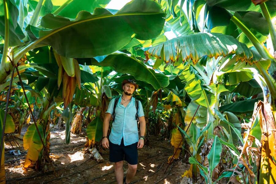 Sapadere Tour with Dimçay Lunch, Cave, Tropical Fruit Garden - Is $22 good value from Alanya?