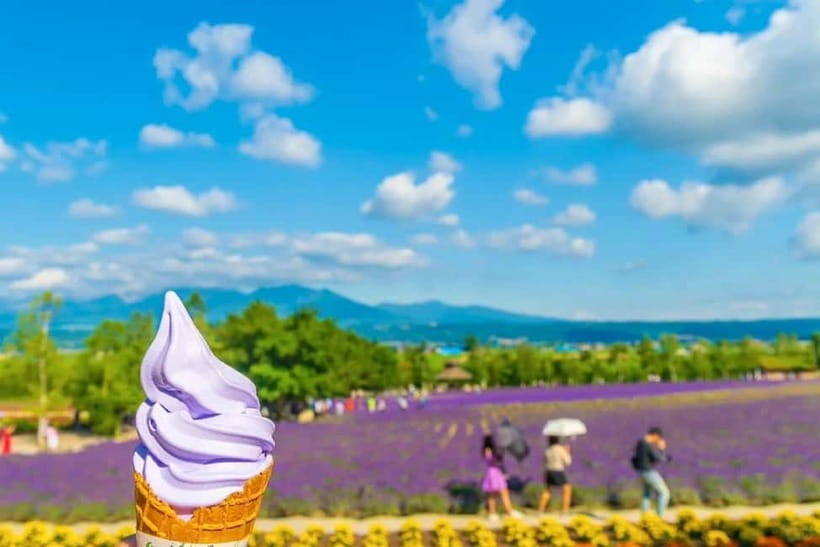 Sapporo: Furano Flower Sea & Biei Blue Pond Tour w/ Pickup - Lunch and melon depend on your chosen package