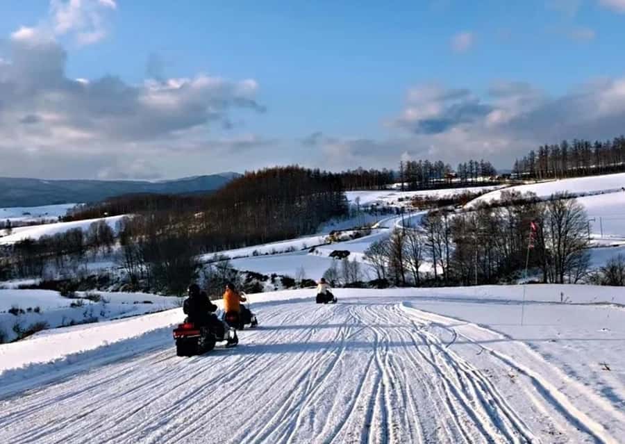 Sapporo: Furano Lavender & Biei Blue Pond Tour with Lunch - Hokkaido buffet lunch at Herb Garden Furano