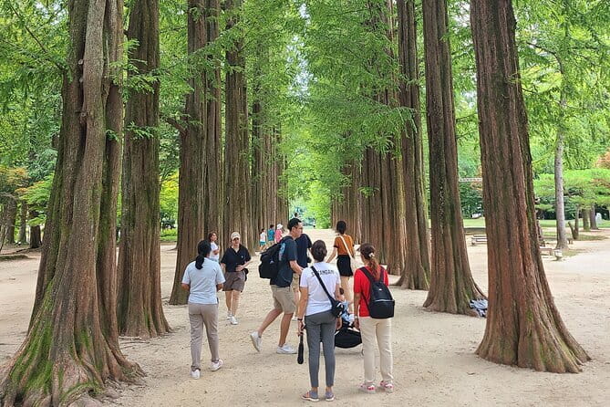 Scenic Escape: Nami Island, Garden of Morning Calm, and Rail Bike - Key points to know before booking