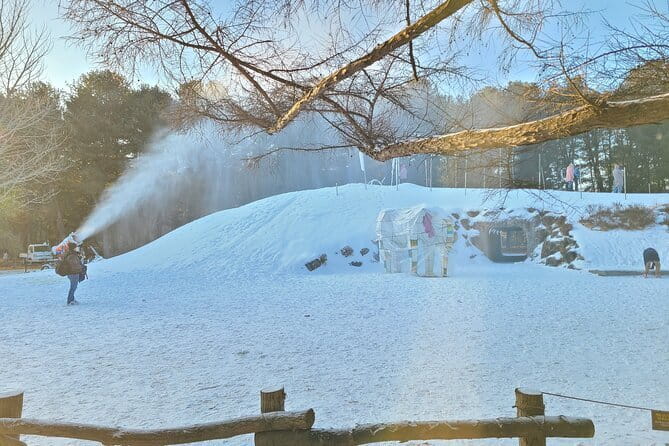 Scenic Escape: Nami Island, Garden of Morning Calm, and Rail Bike - What the private vehicle adds