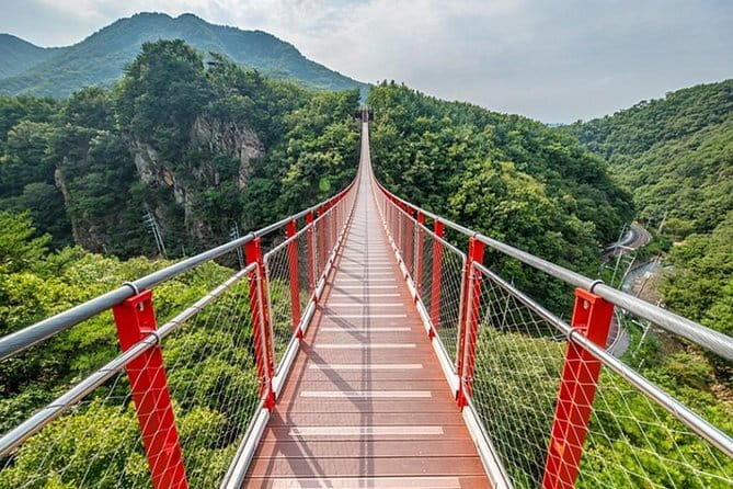 Scenic Escape: Nami Island, Garden of Morning Calm, and Rail Bike - Should you book this Seoul day trip?