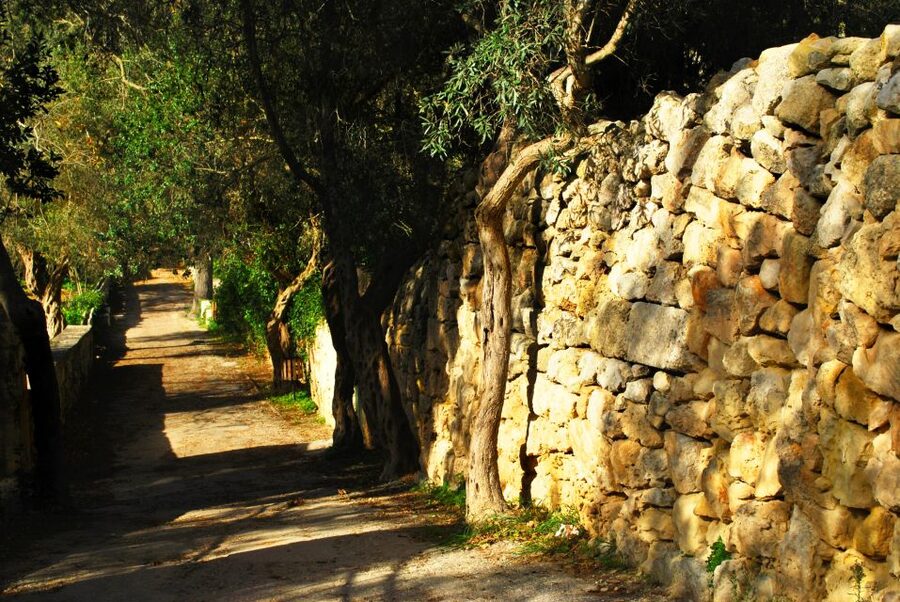 Scenic Tour by Vintage Bus to Buskett Garden & Dingli Cliffs - Why this five-hour route works