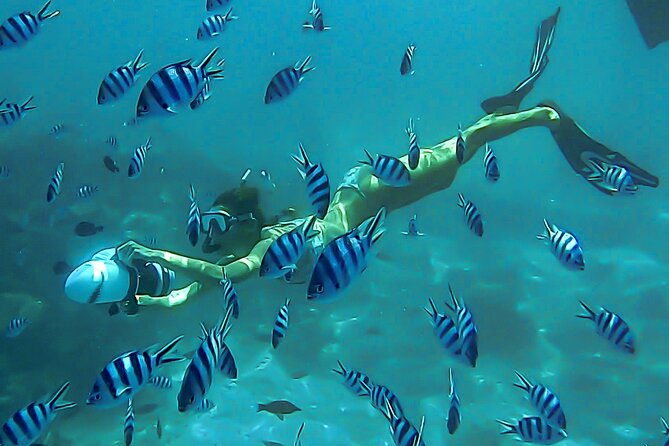 Sea Scooter Snorkel Tour - Lagoon Discovery : Wrecks, Coral Gardens and Tropical Fishies - Key points at a glance
