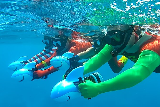 Sea Scooter Snorkel Tour - Lagoon Discovery : Wrecks, Coral Gardens and Tropical Fishies - Whale watching from July through November