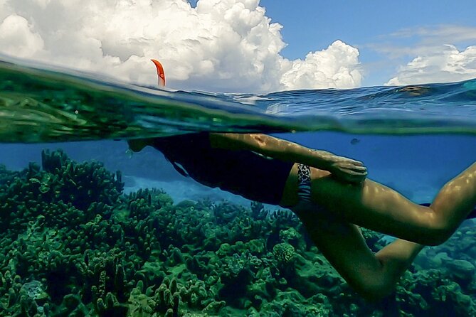 Sea Scooter Snorkel Tour - Lagoon Discovery : Wrecks, Coral Gardens and Tropical Fishies - Who will enjoy this tour most