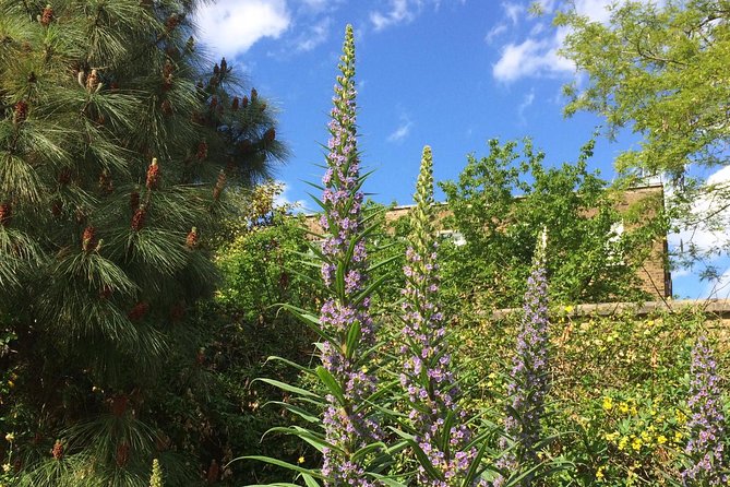 Secret Gardens of London Private Tour - Starting near St Martin-in-the-Fields
