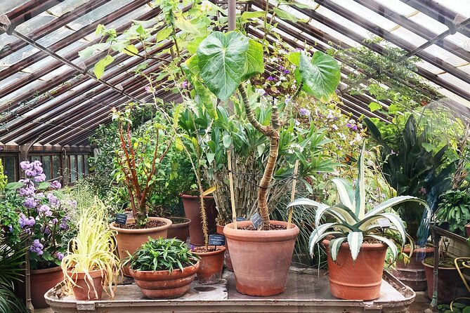 Secret Gardens of London Private Tour - Chelsea Physic Garden, the botanical centerpiece