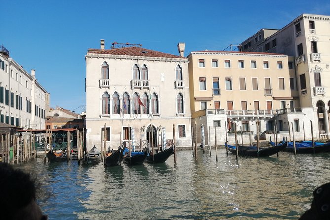 Secret gardens of Venice in the Dorsoduro district with Cichetti tasting - Nani Bernardo Palace and its garden setting