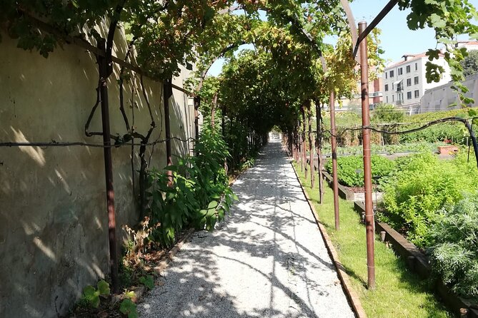 Secret Gardens of Venice Walking Tour - Finishing at Giardino delle Vergini near the Arsenale